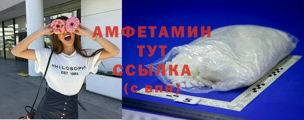 гашик Богородск