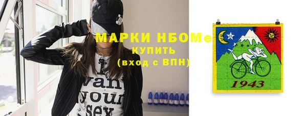 гашик Богородск