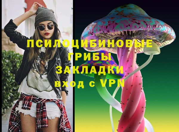 первитин Богданович